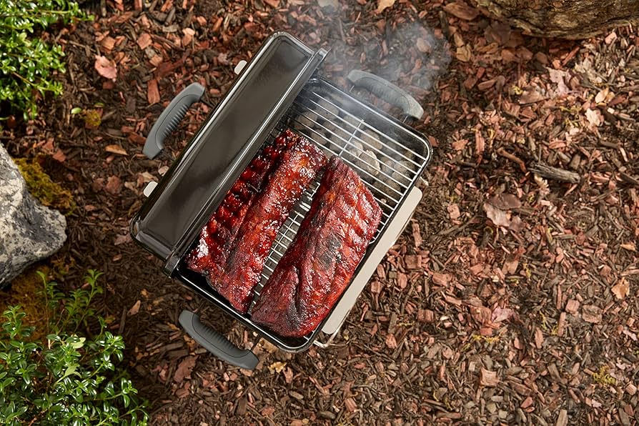 Amazon.com: Weber Go-Anywhere Charcoal Grill